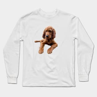 Irish Setter Puppy Dog Long Sleeve T-Shirt